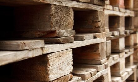 Norman Cahners: The Innovator Behind The Palletizer and a Publishing Empire