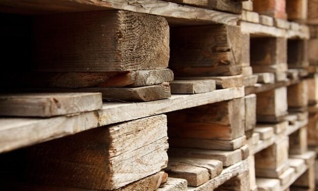 Norman Cahners: The Innovator Behind The Palletizer and a Publishing Empire